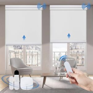 Motorized Blinds with Remote Control